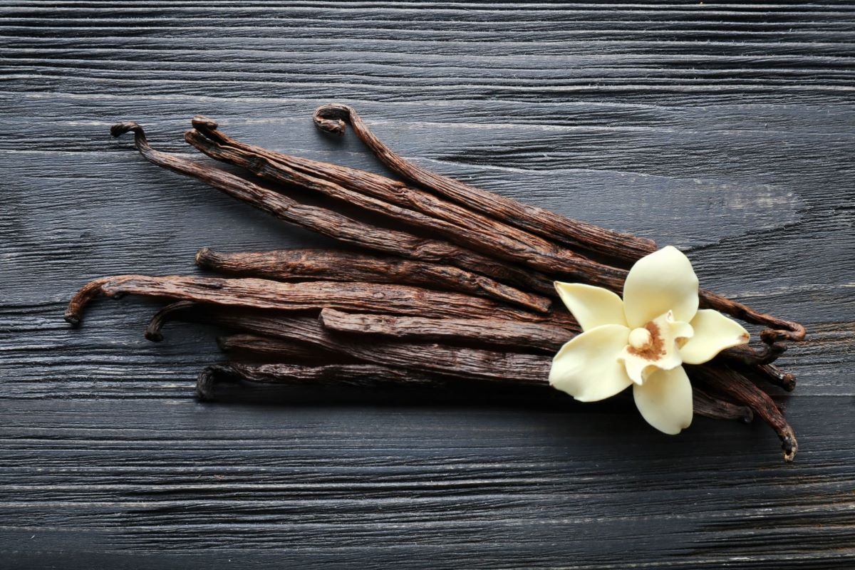 Tallow Balm